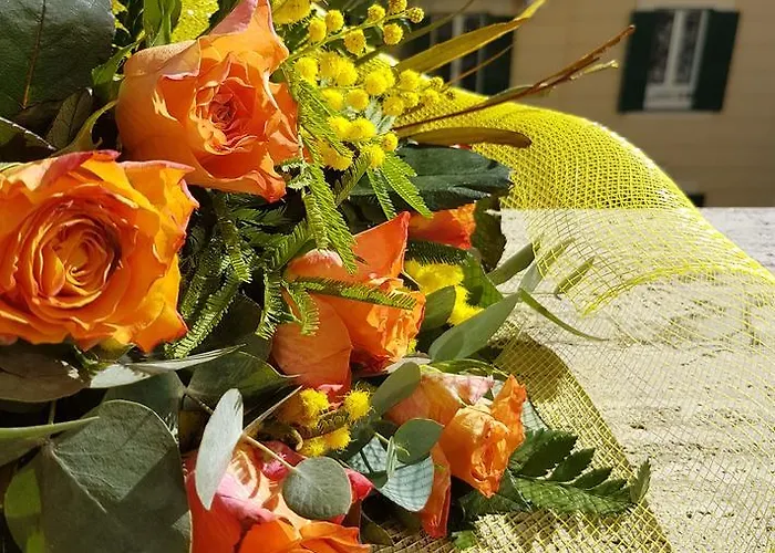 Casa de hóspedes Jadore Monic Roma